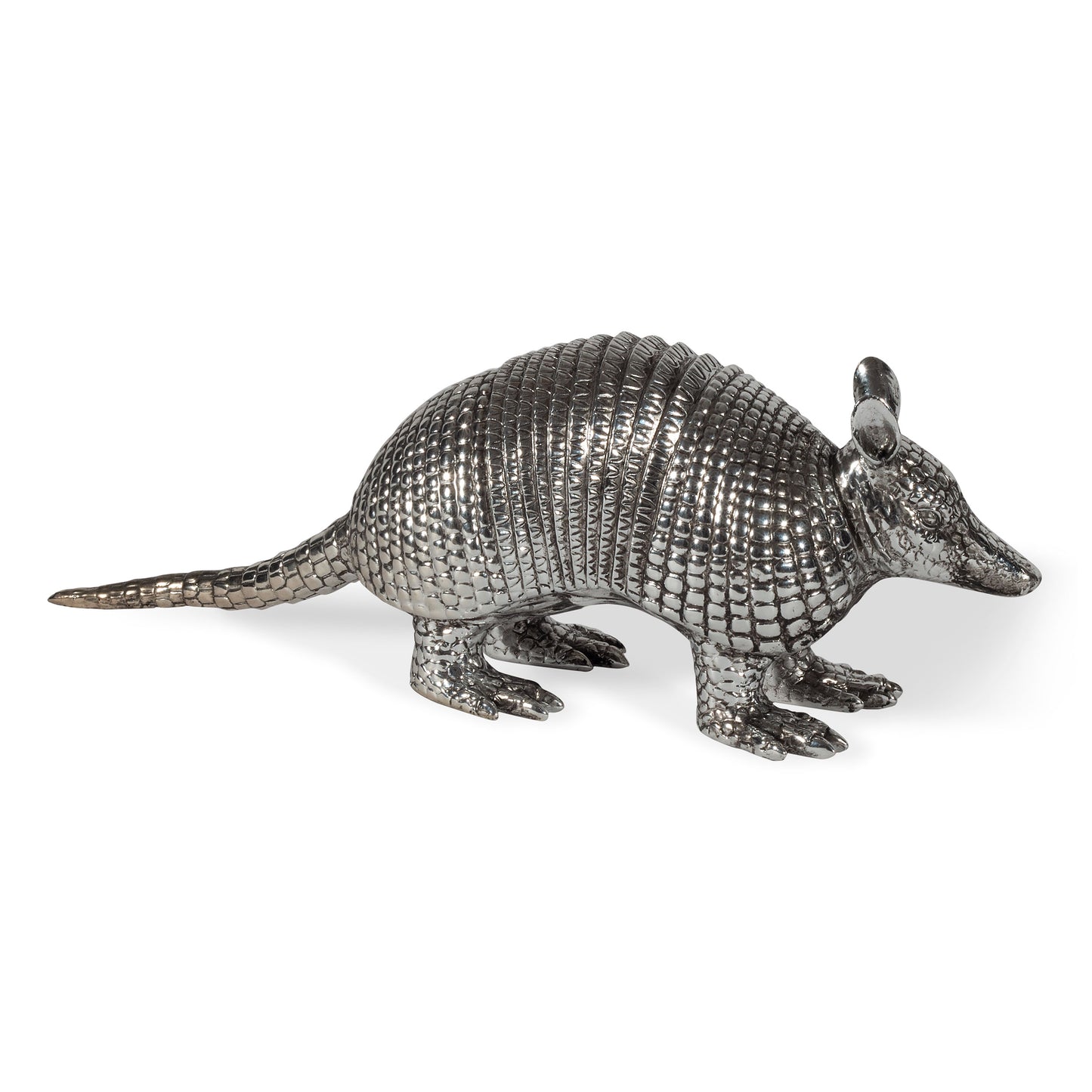 Anthony, Decorative Armadillo Accessory