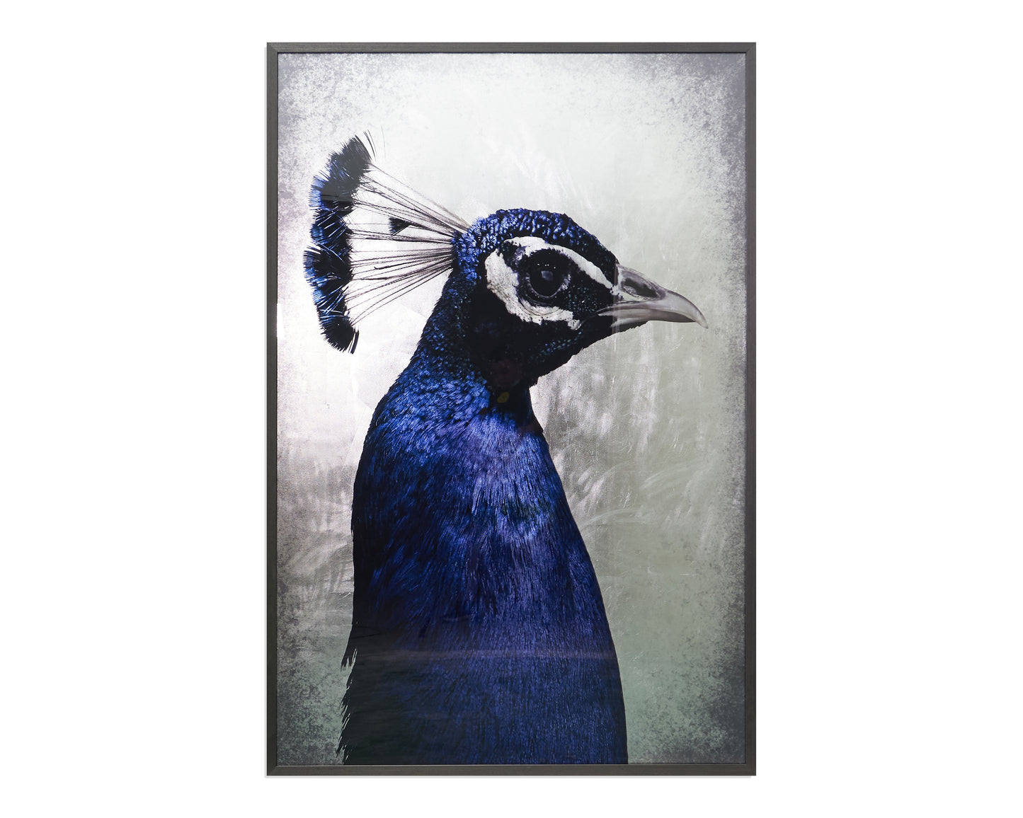 NAHLA THE PEACOCK - 48" X 72" - CHARCOAL FRAME
