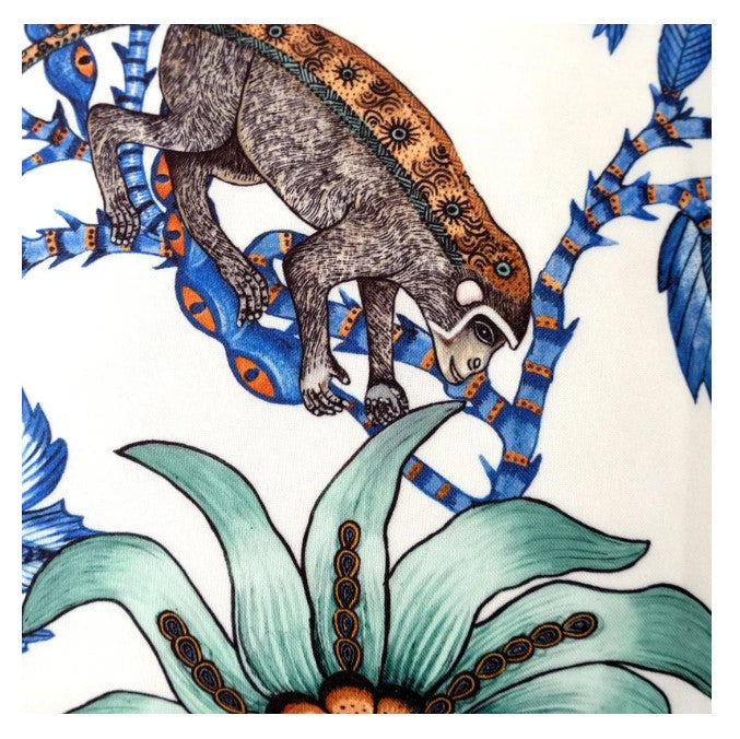 Monkey Bean - Solaris - Tanzanite