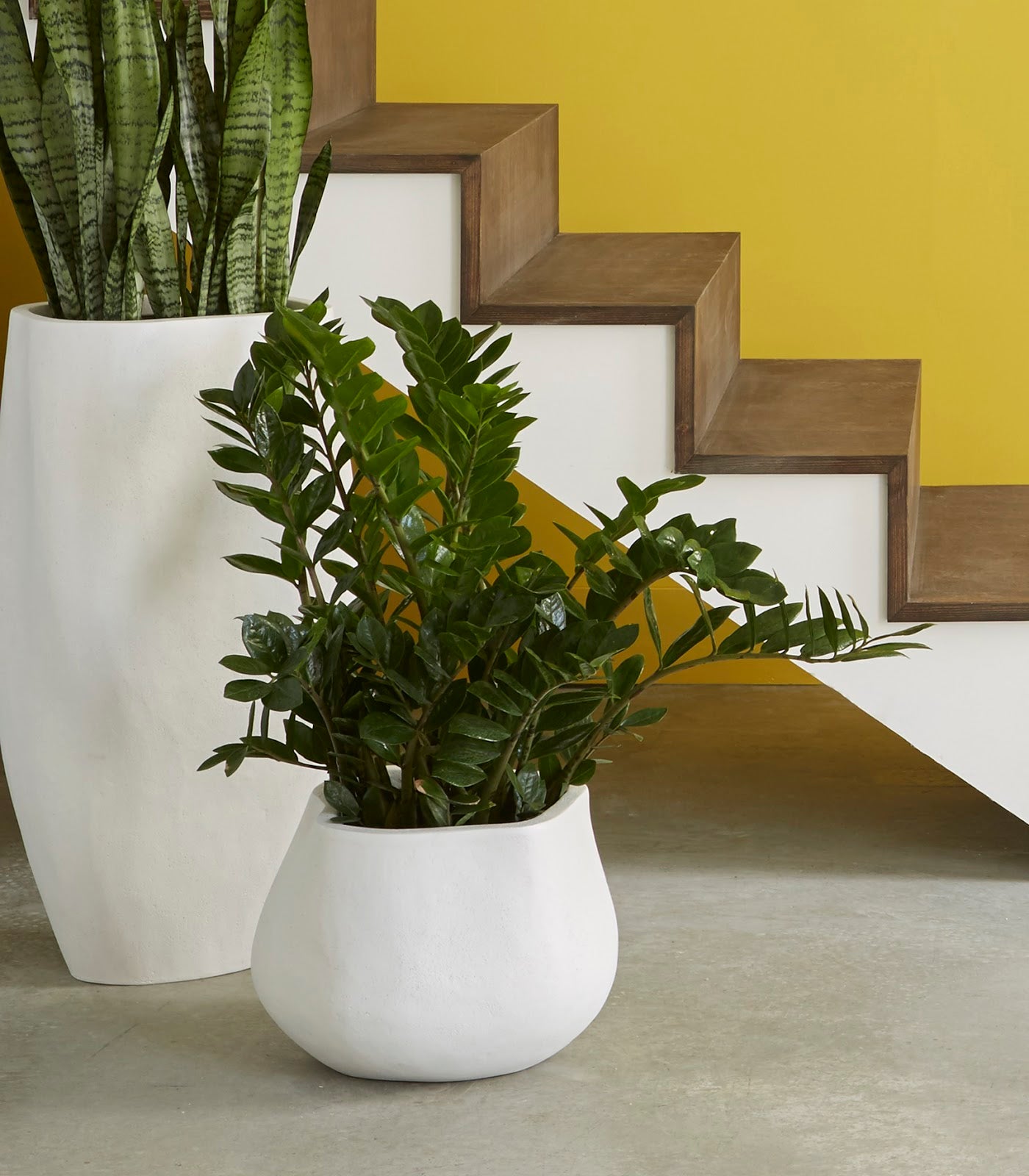 Amorphous Planter, Small, White