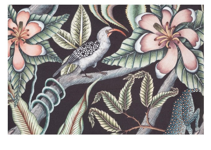 Pangolin Park - Solaris - Night