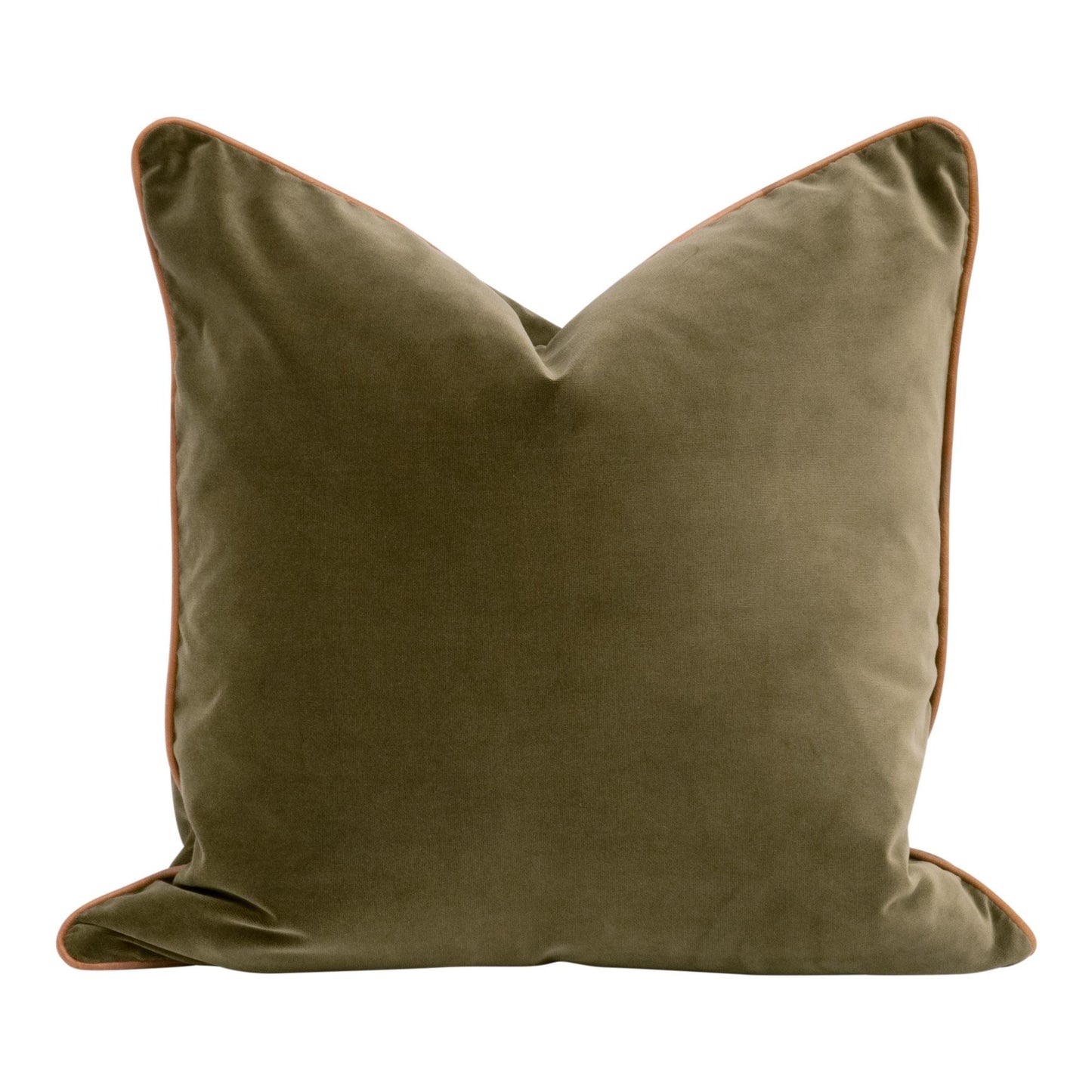 The Not So Basic 22" Essential Pillow, Set of 2