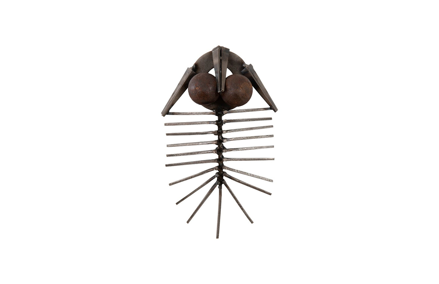 Trilobites Wall Decor, Metal