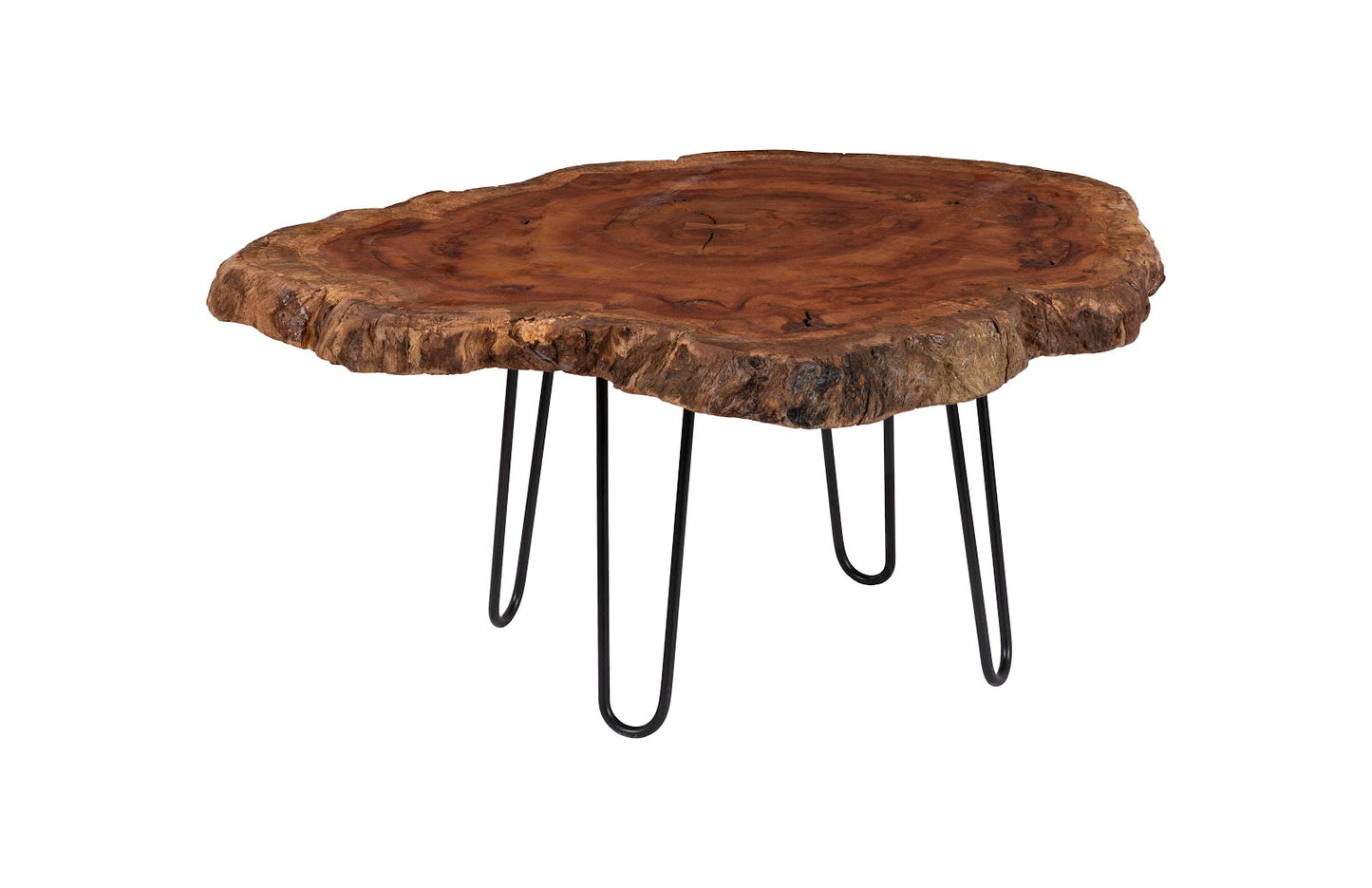 Burled Coffee Table, Black Metal Legs, Large