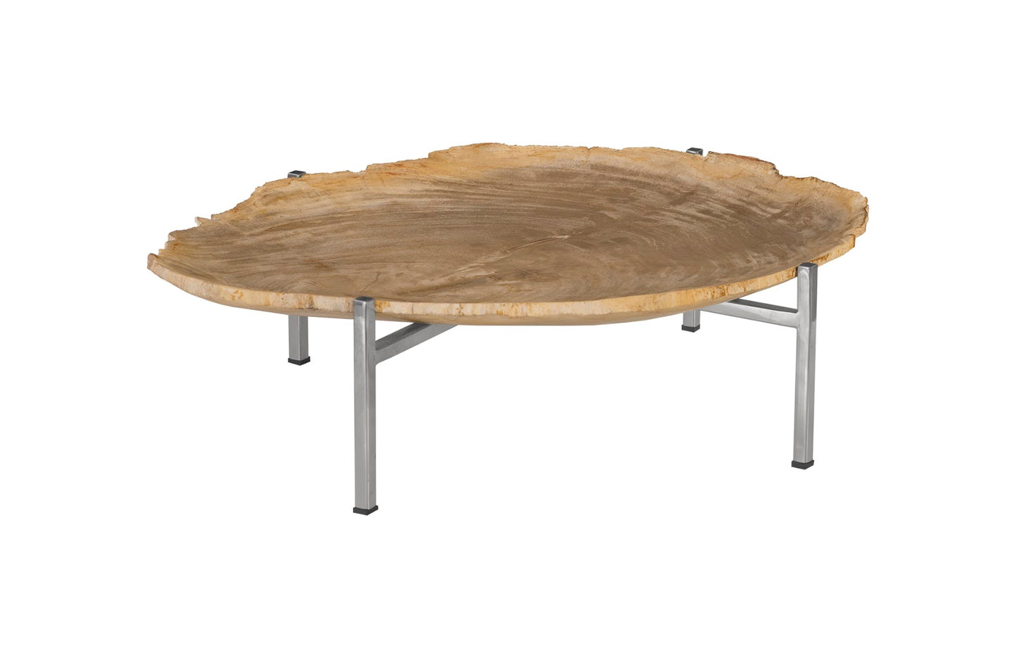 Petrified Wood Tray, Stainless Steel Base, Assorted Styles and Sizes