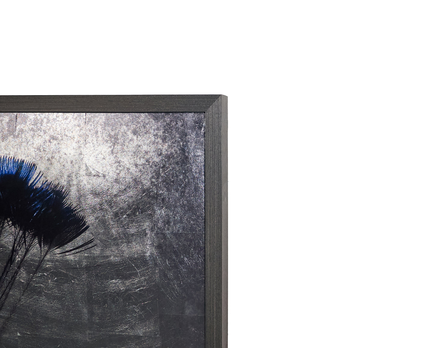 NAHLA THE PEACOCK - 48" X 72" - CHARCOAL FRAME