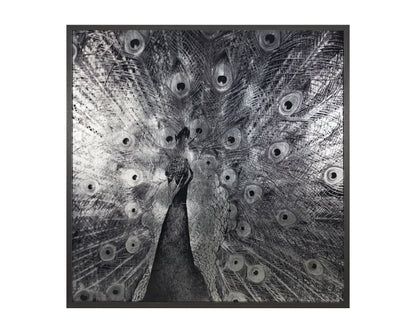 NAHLA COURTSHIP - 48" X 48" - CHARCOAL FRAME