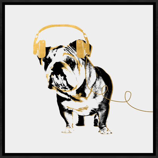 Music Lover VI