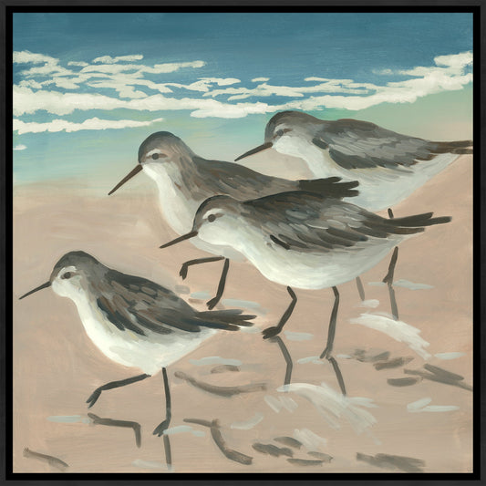 Sand Fishing IV