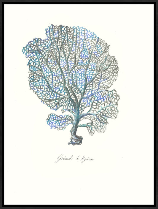 Sea Forest IV