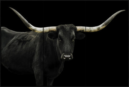 Black Long Horn Triptych(Set of 3- 24 x 48)