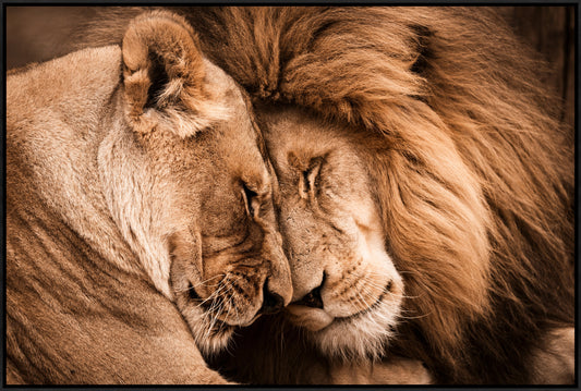 Always and Forever in Africa