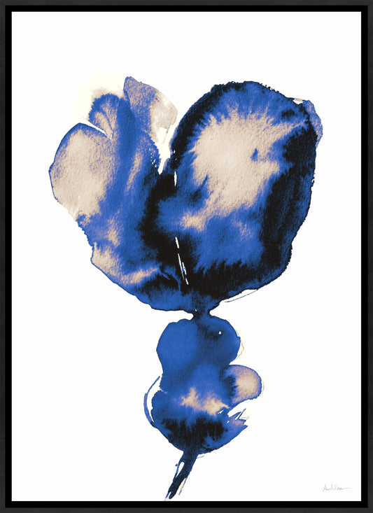 Northern Light Bloom I