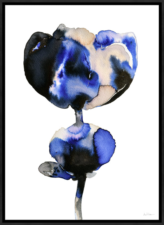 Northern Light Bloom III