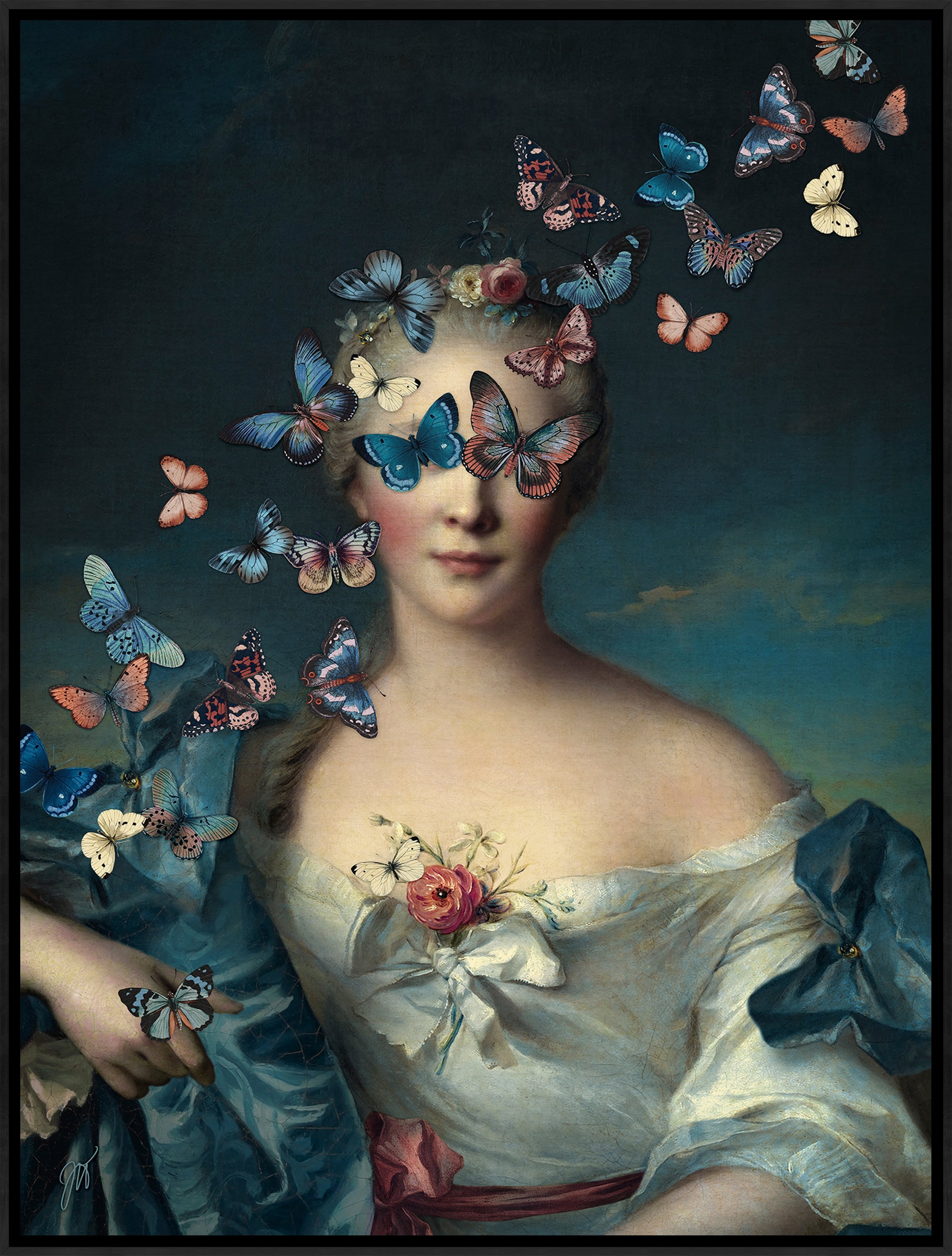 Head of Butterflies