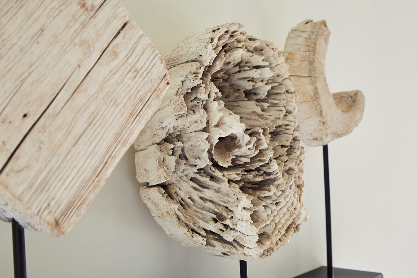 Eroded Wood C Sculpture on Stand ,Assorted