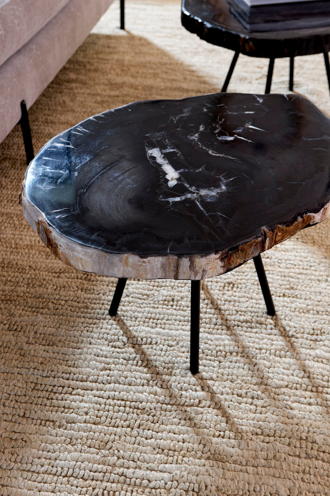 Petrified Coffee Table, Round, Metal Black Base