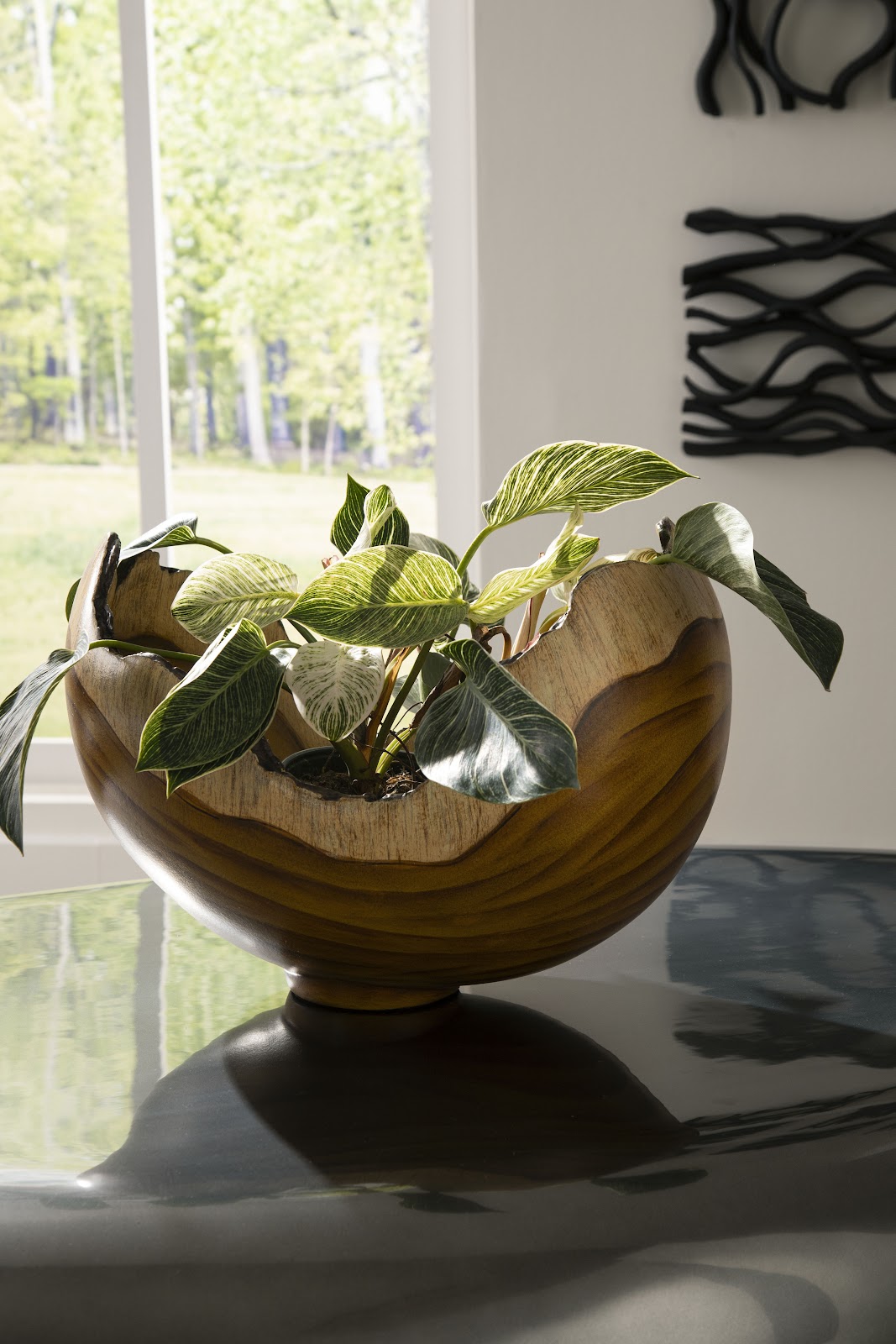 Burled Bowl, Faux Bois