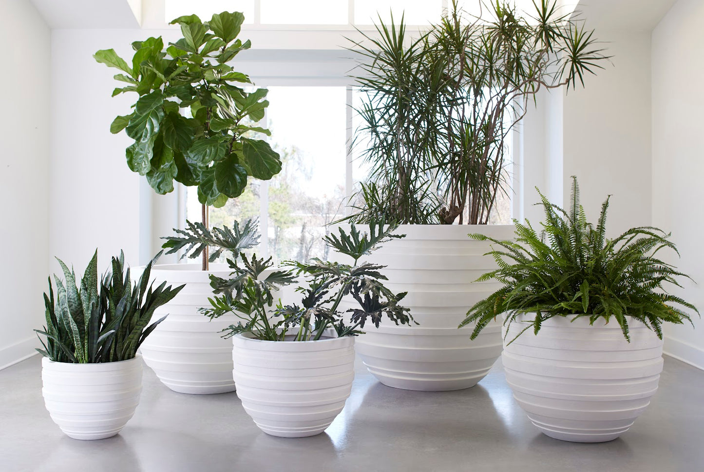June Planter, White, SM