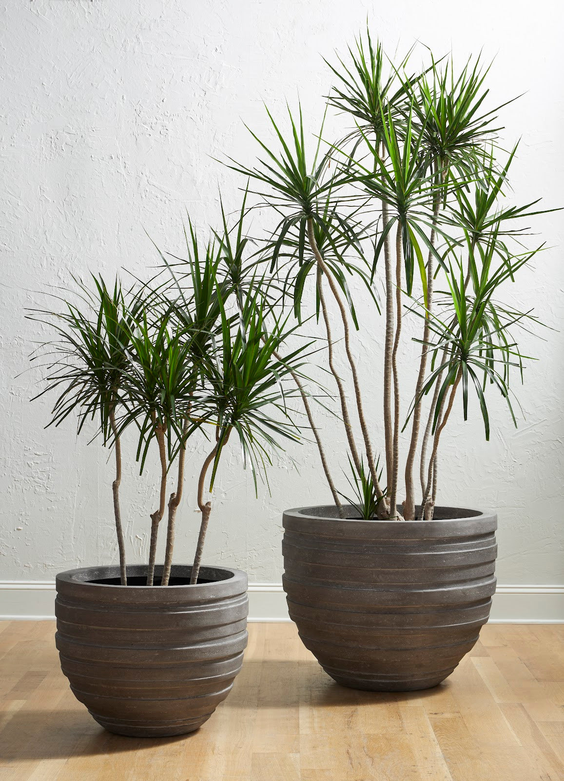 June Planter, Raw Gray, XS