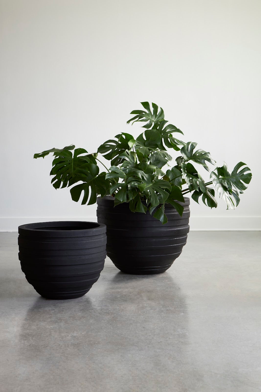 June Planter, Black, XS