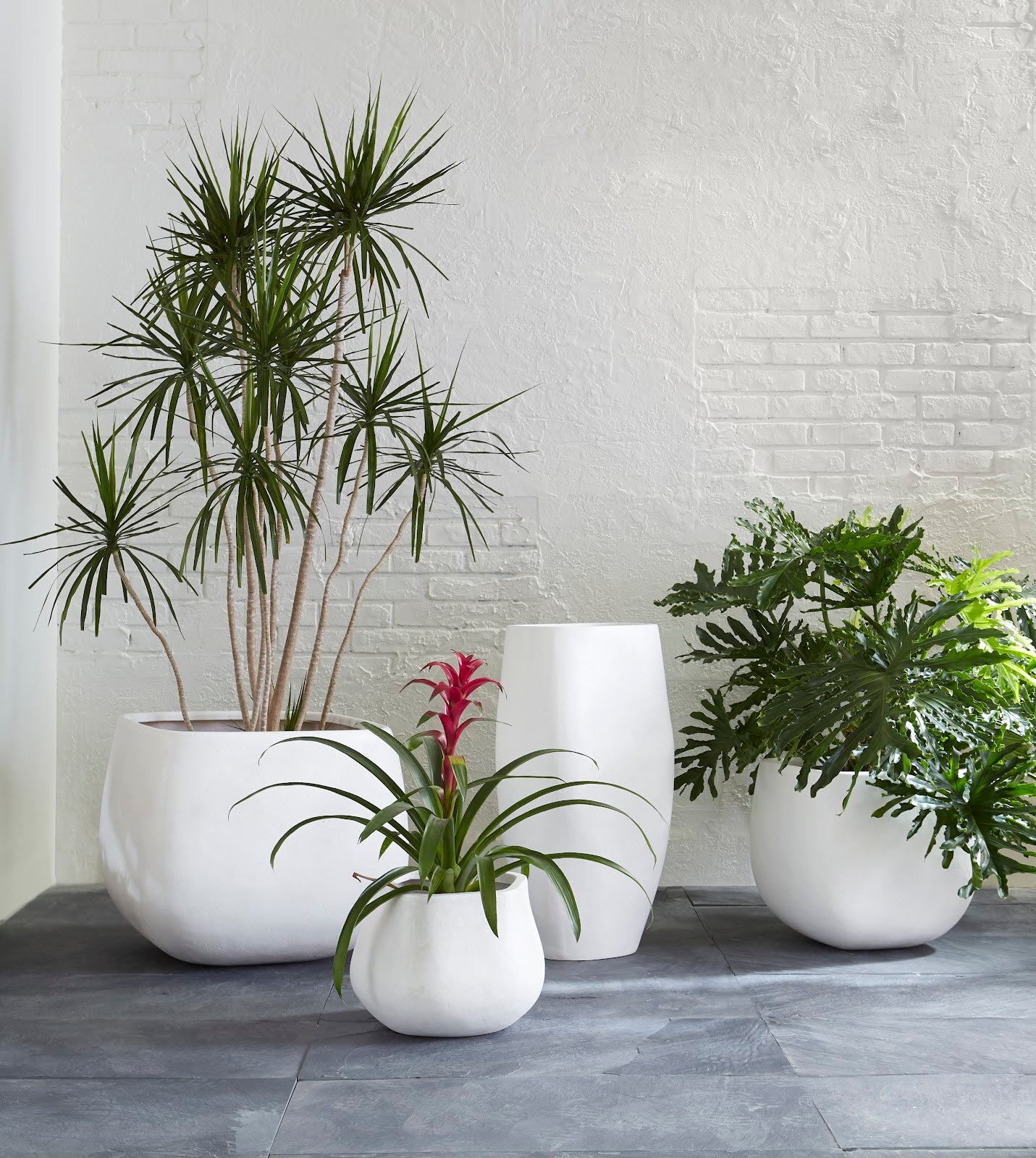 Amorphous Planter, Small, White