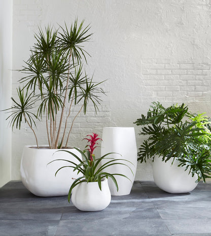 Amorphous Planter, Small, White