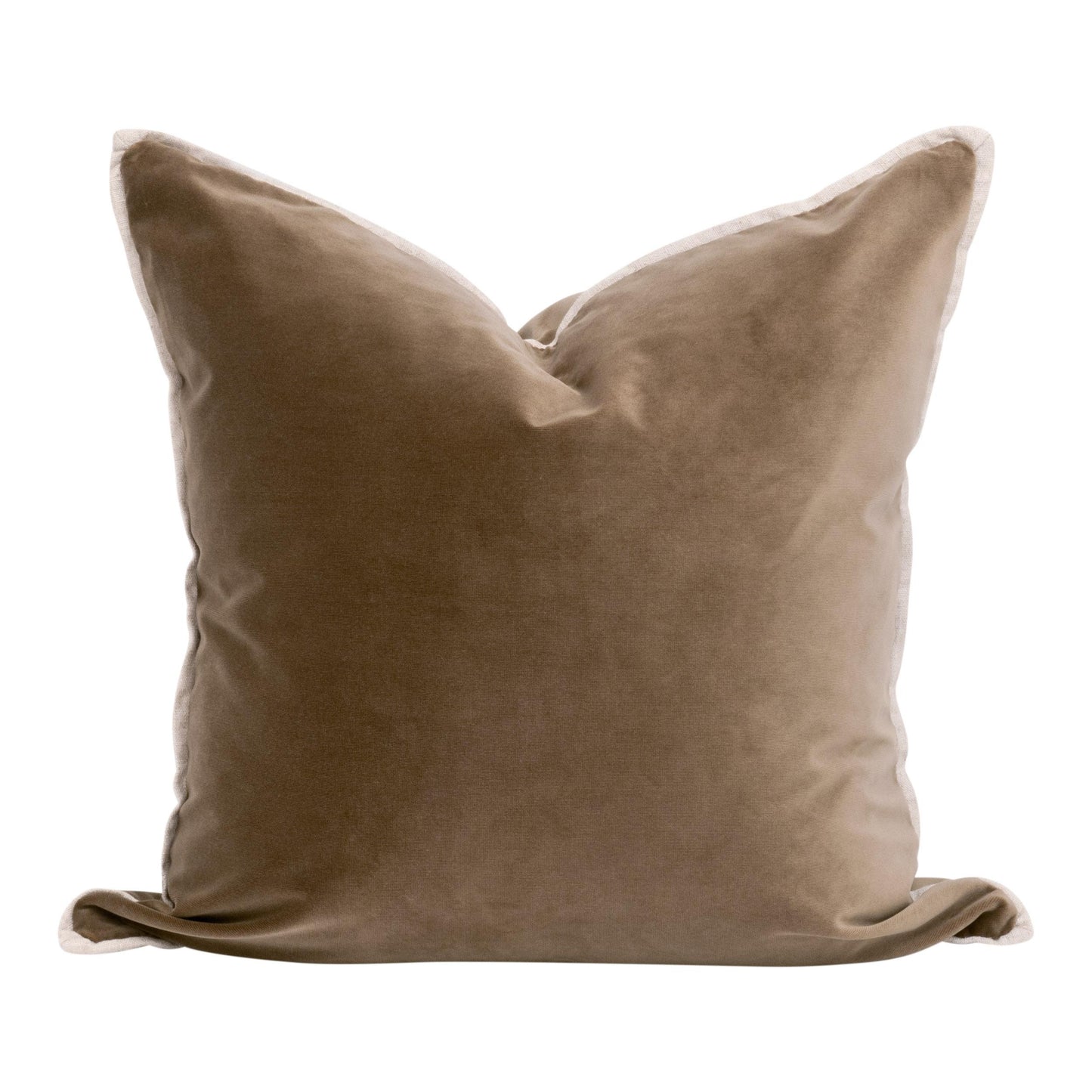 The Not So Basic 22" Essential Pillow, Set of 2