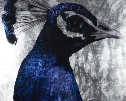 NAHLA THE PEACOCK - 48" X 72" - CHARCOAL FRAME